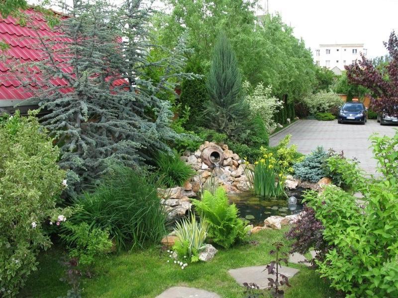 Hotel Oasis Brașov Exterior foto